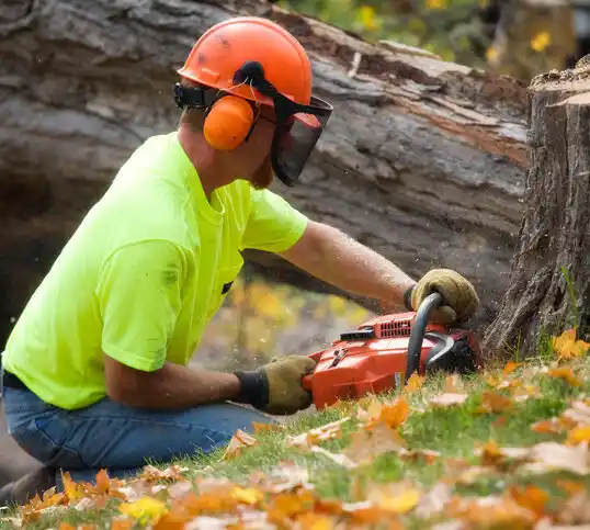 tree services Sinclairville